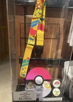 ユニバーサルスタジオジャパン ポケモン モンスターボール ケース