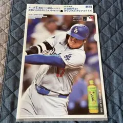 Item thumbnail for item 7fcff422-7640-4239-8db0-4bfe9d8a21c4