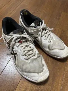 Item thumbnail for item ddcac9ab-720d-4d45-bf72-6e38afa338b1