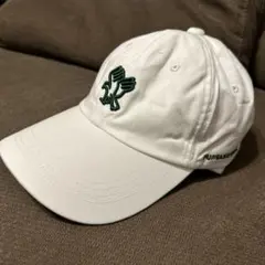 Item thumbnail for item 83bea3b8-a184-447e-8cac-0d6e3230c908