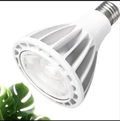 PA30 스마트 플랜트 그로잉 라이트 LED 전구 (리모컨 포함), 신품 미사용