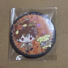 REBORN 산리오 沢田綱吉 缶バッジ 폼폼푸린 コラボ