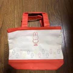 Item thumbnail for item 017690ce-b657-4ce8-9a6b-b70e74f6502c