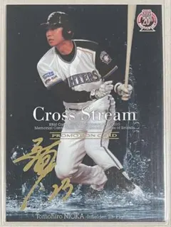 Item thumbnail for item 81c7f0ce-df70-4ad7-8cc6-1efbebceec0c