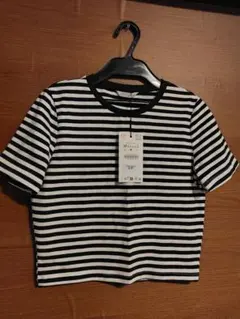 ZARAザラ新品ショート丈ネイビー✕ホワイトボーダー半袖TシャツМのサムネイル