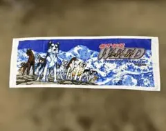 Item thumbnail for item e896e467-c815-4444-b936-2b6f970bbd68