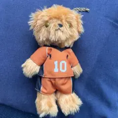 ハイキュー ベア ぬいぐるみ 烏野高校 日向翔陽　くま　アニメイト購入