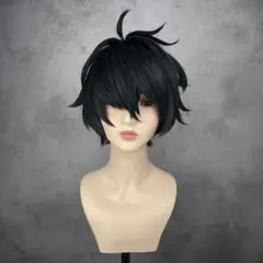 刀剣乱舞 二筋樋貞宗 コスプレ ウィッグ 完成品 カットセット済み