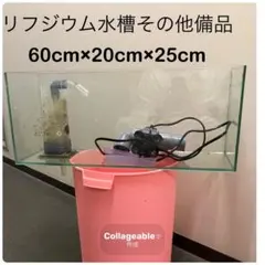 2026年最新】オーバーフロー水槽の人気アイテム - メルカリ