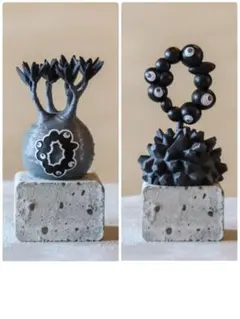 2026年最新】グラキリスの人気アイテム - メルカリ