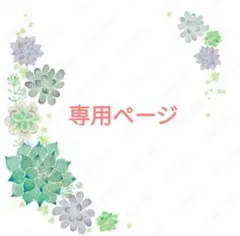 hinamama様 リクエスト 2点 まとめ商品