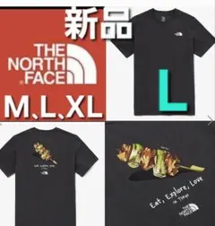 THE NORTH FACEノースフェイス 半袖 Tシャツ 新品 海外 L