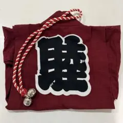 Item thumbnail for item 79ae1f43-f69f-4a7f-900e-359ba85d6221