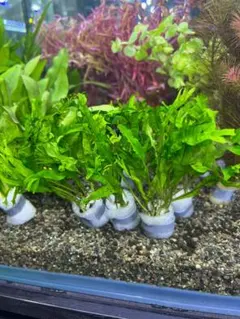 Y Object様 リクエスト 2点 まとめ商品