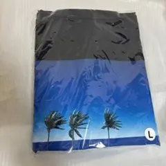 チルアウト　コーチジャケット