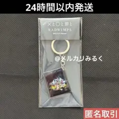 RADWIMPS 特別展 NFCジャケットキーホルダー ×と⚪︎と罪と - メルカリ
