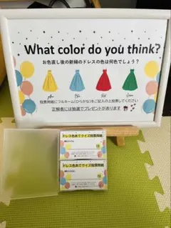 ドレス色投票用紙セット66枚