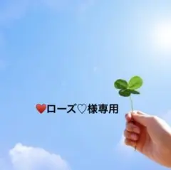 まっちゃん様 リクエスト 2点 まとめ商品 - メルカリ