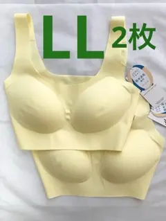 【限定価格】 LLサイズ×2枚　スロギー　ゼロフィール ハーフトップ