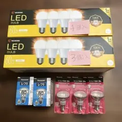 電球各種