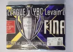 サンフレッチェ広島 応援グッズ