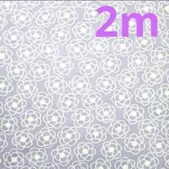 ★ＴＣブロード☆カメリア柄★パープル★