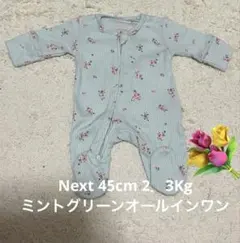 ☀︎Next45cmミントグリーンオールインワン2.3Kgのサムネイル