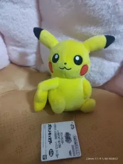 2025年最新】しっぽみてみて ポケモンの人気アイテム - メルカリ