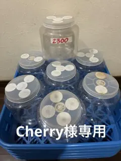 【未洗浄】DDA 硬質クリアボトル　1500cc 空ボトル　41本まとめ売り 未洗浄】DDA 硬質クリアボトル 1500cc 空ボトル 41本まとめ売り | Mercari