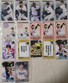 コロチャレ 応援グッズ