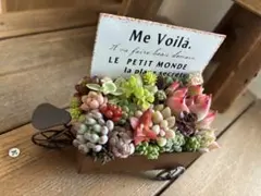 2025年最新】多肉植物 寄せ植え そのまま飾れるの人気アイテム