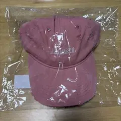 FRUITS ZIPPER OSHI API Cap -月足天音 ver. - メルカリ