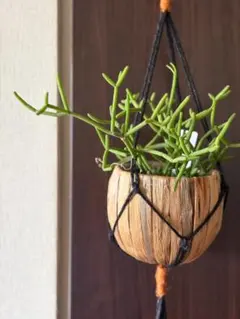 パピコ様 リクエスト 2点 まとめ商品