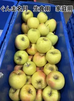 まきりんご様専用ページ　ぐんま名月　家庭用　約10キロ