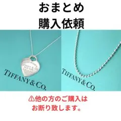 TIFFANY&Co. 希少 セーブザワイルド サイ ネックレス Ag925 - メルカリ