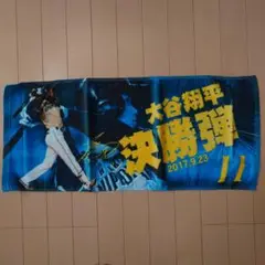 【値下げ】Fighters 大谷翔平 応援タオル Tシャツ セット 大谷翔平 LA ドジャース スポーツ クール 冷感タオル ケース入り