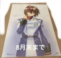 新品 機動戦士ガンダムSEED DESTINY キャラクターポスター3枚セット 機動戦士ガンダムSEED DESTINY vol.3 キャラPic 20個入りBOX