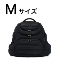 Item thumbnail for item fd537469-374f-407b-9152-f184bace3ed3