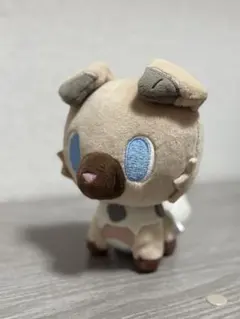 2026年最新】イワンコ ポケモンドールズの人気アイテム - メルカリ