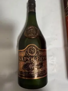 サリニャック L.de Salignac ナポレオン 700ml○4-19-08 - メルカリ