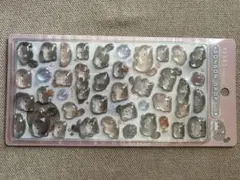 BONBON DROP ボンボンドロップシール　マヌルネコ　正規品