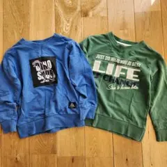 110 しまむら トレーナー 男の子 裏毛 裏起毛なし 恐竜 長袖