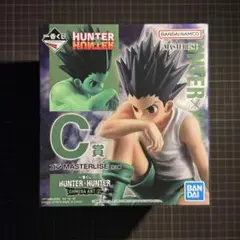 HUNTER×HUNTER ゴン MASTERLISE C賞 フィギュア