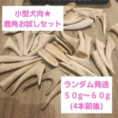小型犬向け 蝦夷鹿角☆鹿角デビューお試しに☆ 50g～60g　2 ～ 4本前後のサムネイル