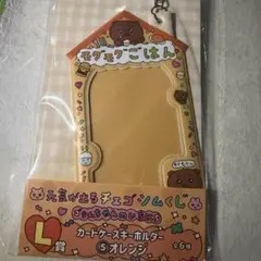 チェゴシム 一番くじ カードケースキーホルダー L賞 オレンジ