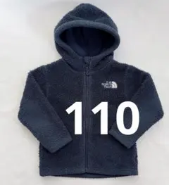 ザノースフェイス 110