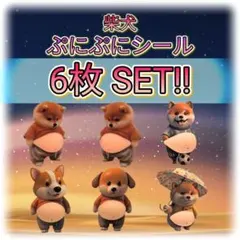 【専用✨】 きなこ様　商品画像および説明欄！をご参照ください！(*'ω'*)