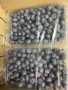 群馬県産無農薬ブルーベリー400g×2パックのサムネイル