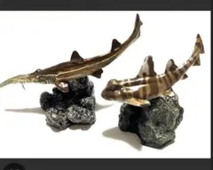 ケイエス様 リクエスト 2点 まとめ商品　ノコギリザメなし