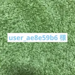 user_ae8e59b6様宛②